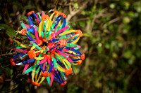 014_JHP_2215